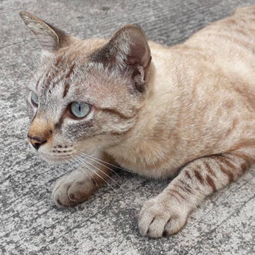 สมาชิกหมายเลข 5070635