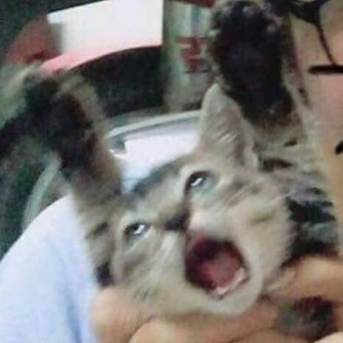 สมาชิกหมายเลข 1536672