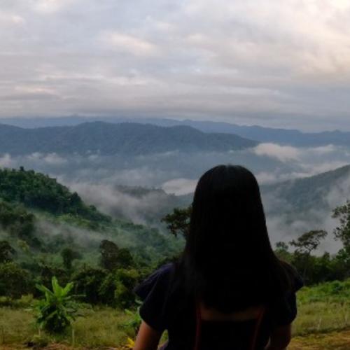 สมาชิกหมายเลข 2481390