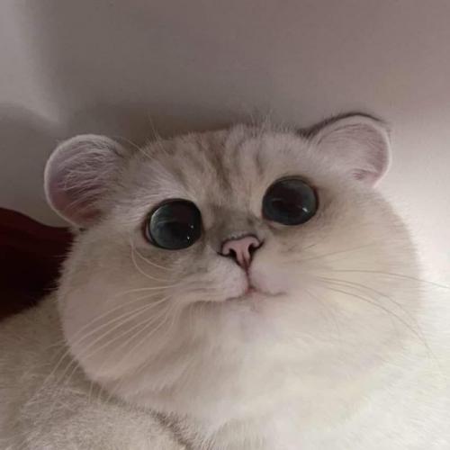 สมาชิกหมายเลข 7369651