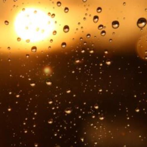 สมาชิกหมายเลข 8231266