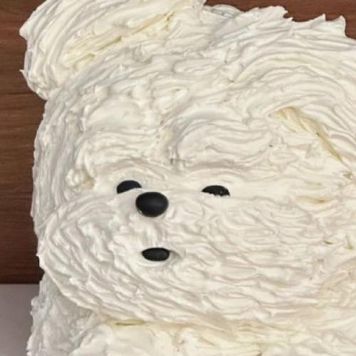 สมาชิกหมายเลข 8252071