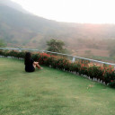 สมาชิกหมายเลข 4351992