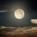 สมาชิกหมายเลข 4352104