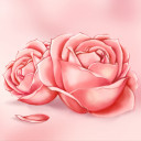 สมาชิกหมายเลข 4718945