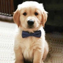 สมาชิกหมายเลข 2867914