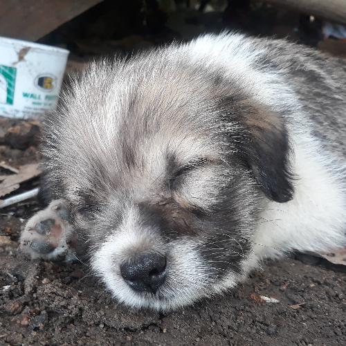 สมาชิกหมายเลข 2218968