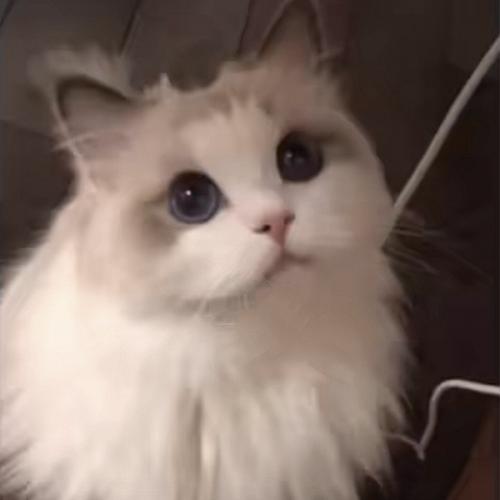 สมาชิกหมายเลข 6629471