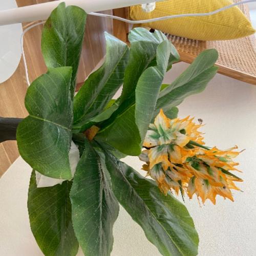 สมาชิกหมายเลข 8253145