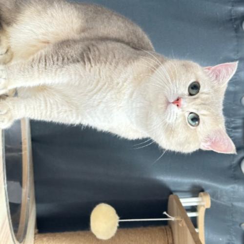 สมาชิกหมายเลข 8253251