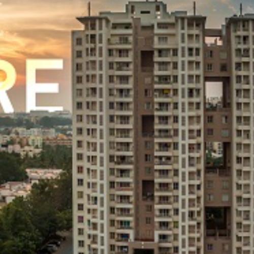 สมาชิกหมายเลข 8253280