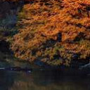 สมาชิกหมายเลข 4719321