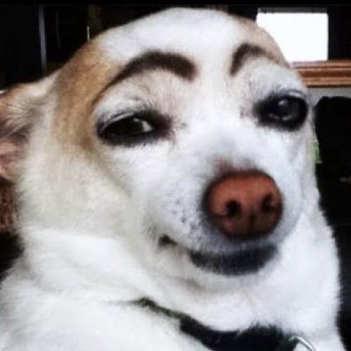 สมาชิกหมายเลข 1665045