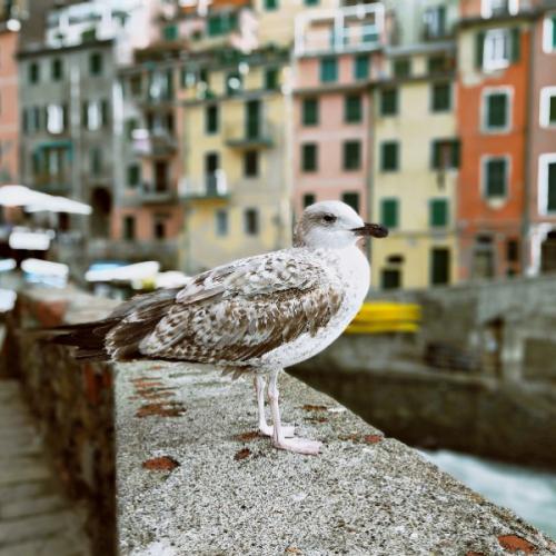 สมาชิกหมายเลข 3452521