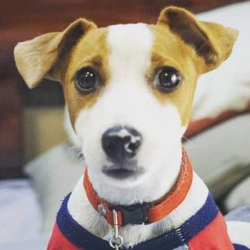 สมาชิกหมายเลข 5786881