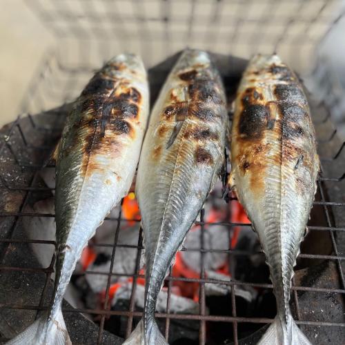 สมาชิกหมายเลข 6584405