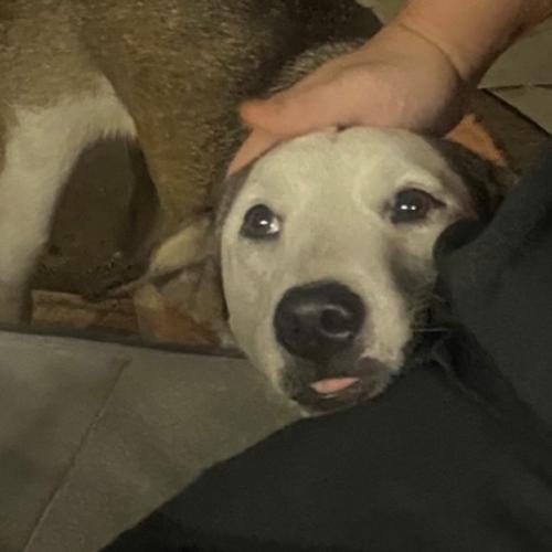 สมาชิกหมายเลข 6853547