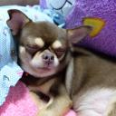 สมาชิกหมายเลข 3885176