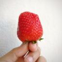 สมาชิกหมายเลข 3885371