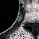 สมาชิกหมายเลข 3885488