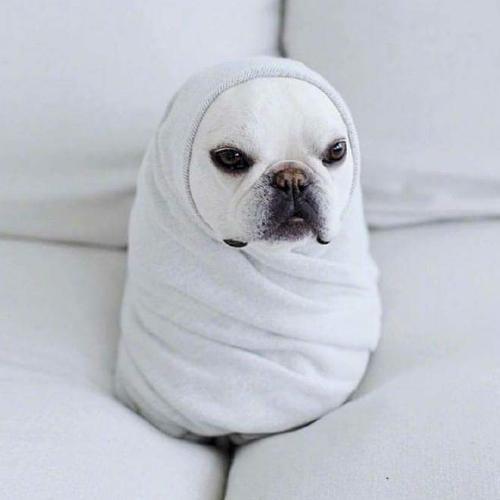 สมาชิกหมายเลข 4719611