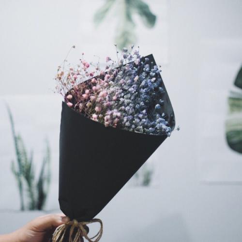 สมาชิกหมายเลข 2501491