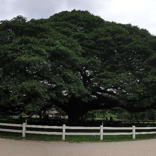 สมาชิกหมายเลข 3960216