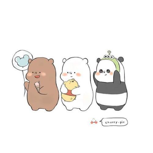 สมาชิกหมายเลข 5482795