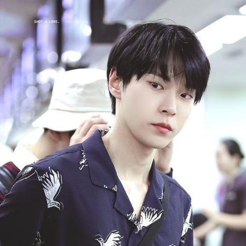 สมาชิกหมายเลข 5482988