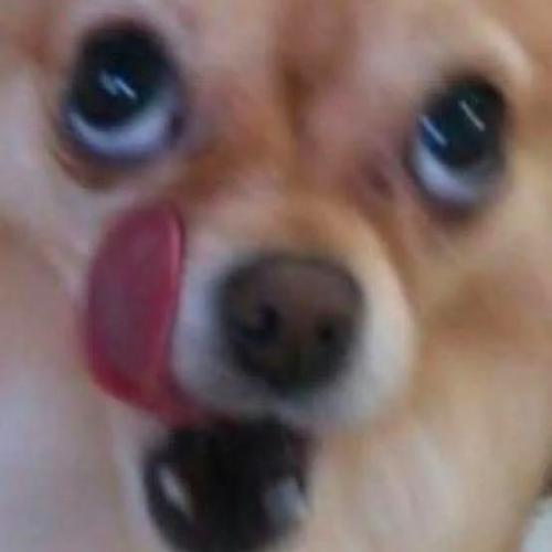 สมาชิกหมายเลข 7372492