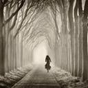 สมาชิกหมายเลข 3748641