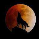 ข้าวผัดไทย