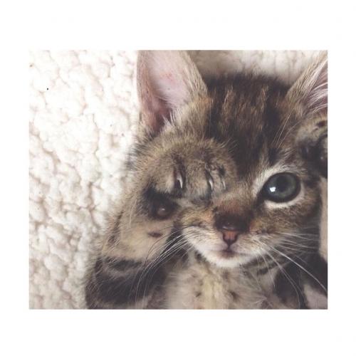 สมาชิกหมายเลข 4478771