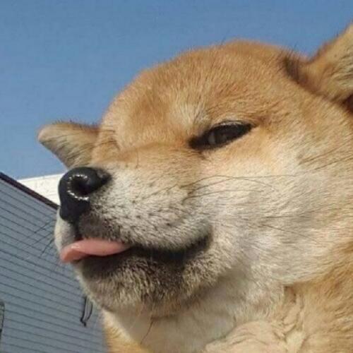 สมาชิกหมายเลข 4104792