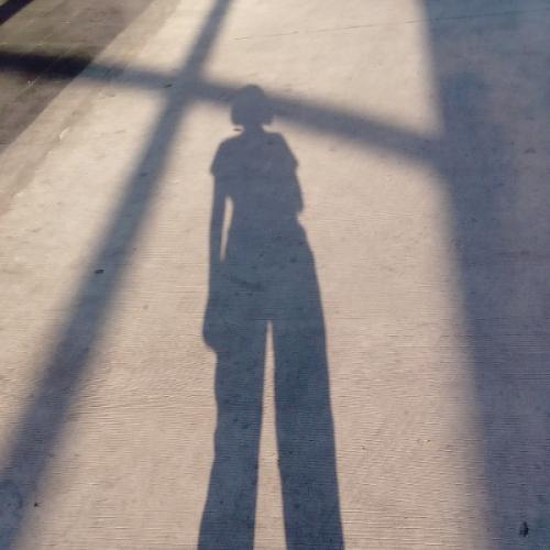 สมาชิกหมายเลข 5091470