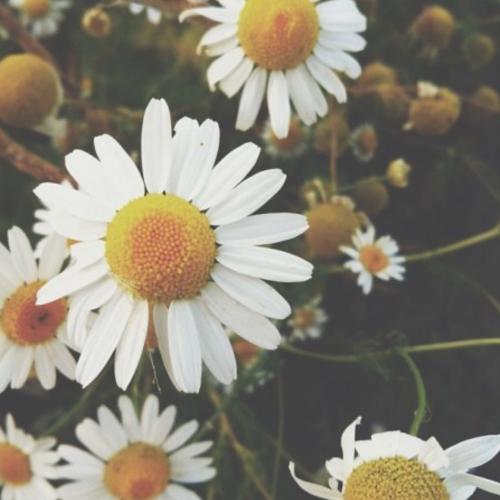 สมาชิกหมายเลข 5091739