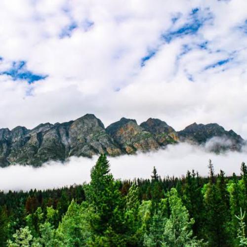 สมาชิกหมายเลข 4094380