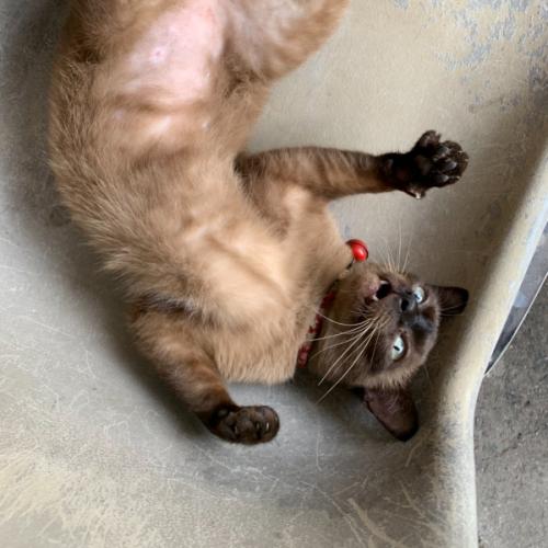 สมาชิกหมายเลข 5093985