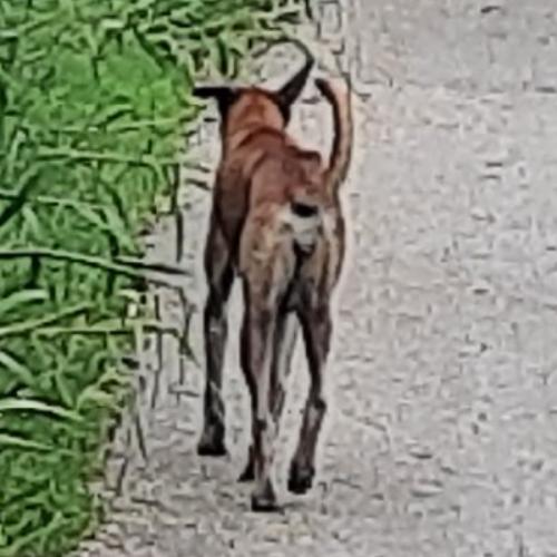 สมาชิกหมายเลข 5789339