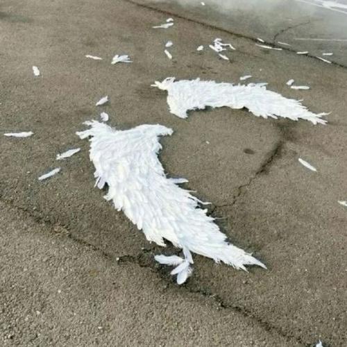 สมาชิกหมายเลข 9243109