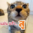 สมาชิกหมายเลข 1465577