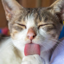 สมาชิกหมายเลข 2514817