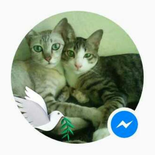 สมาชิกหมายเลข 4720233