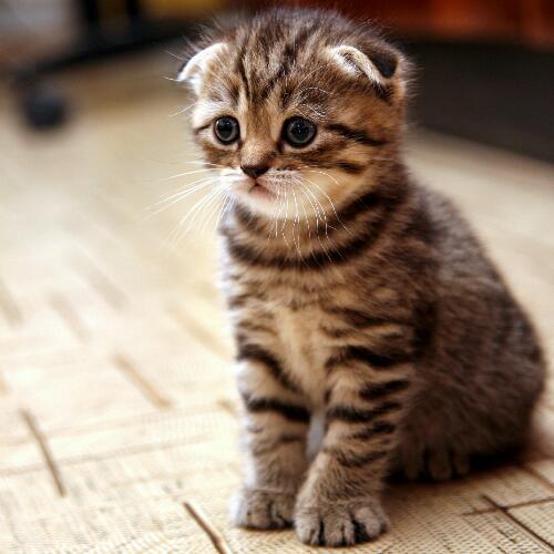 สมาชิกหมายเลข 5078106