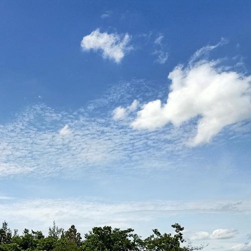 สมาชิกหมายเลข 5483238