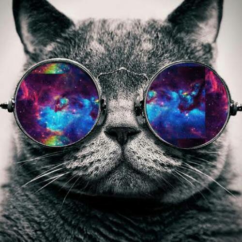 สมาชิกหมายเลข 5483535