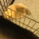 สมาชิกหมายเลข 5483776