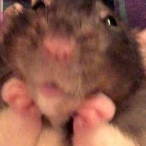 สมาชิกหมายเลข 3601535