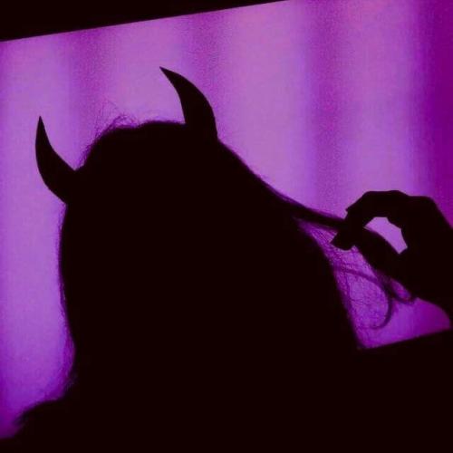 สมาชิกหมายเลข 4307724