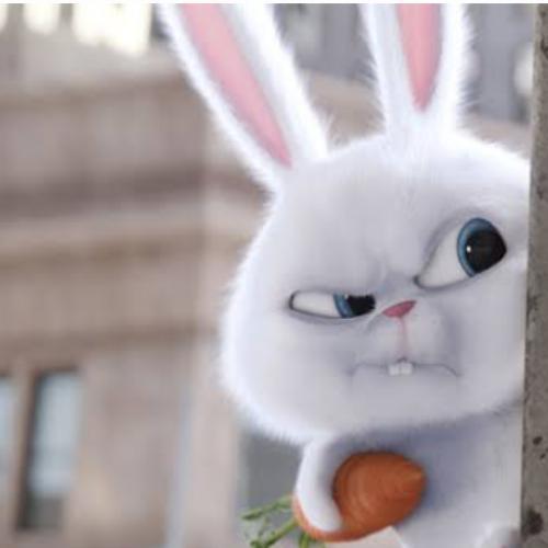 สมาชิกหมายเลข 5830046